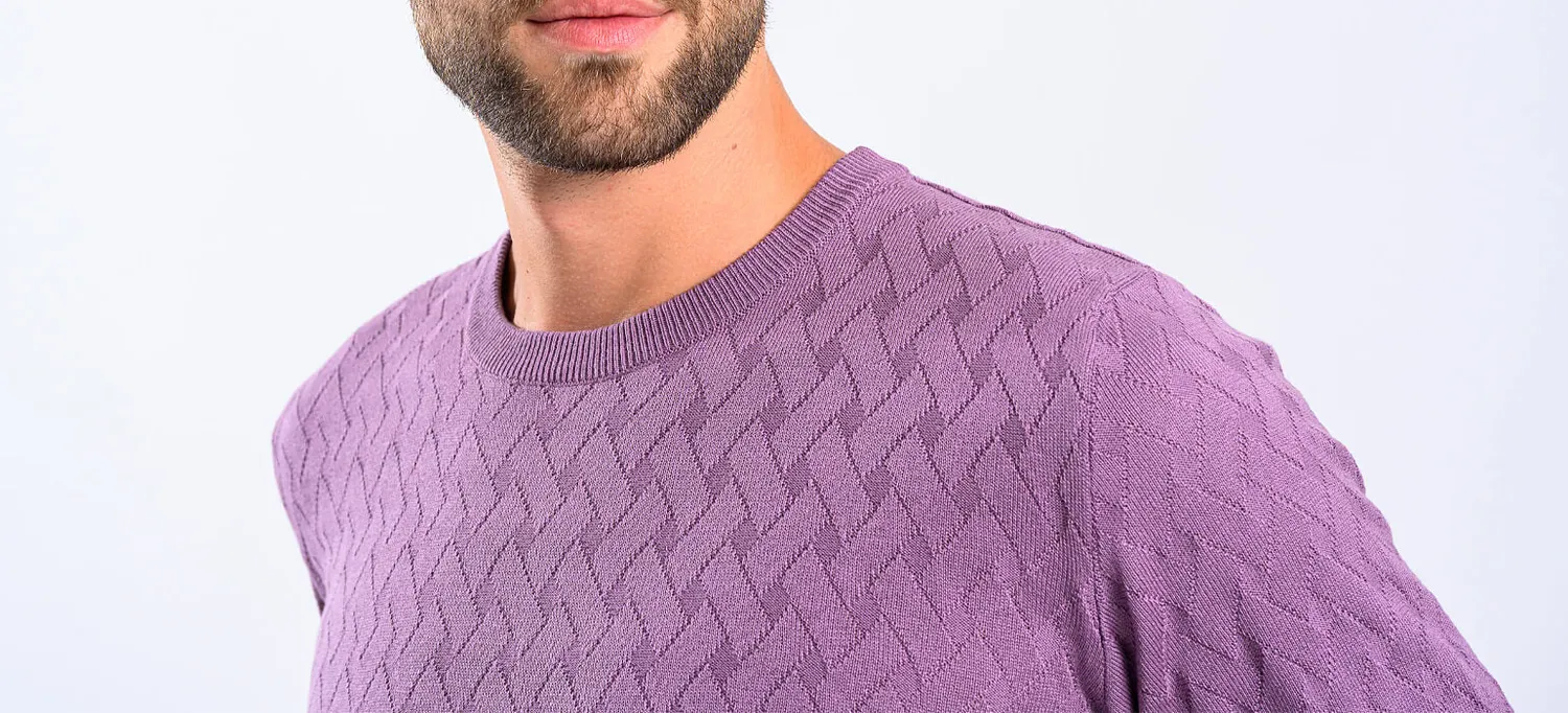 Alain Delon maglione viola in cotone slim fit