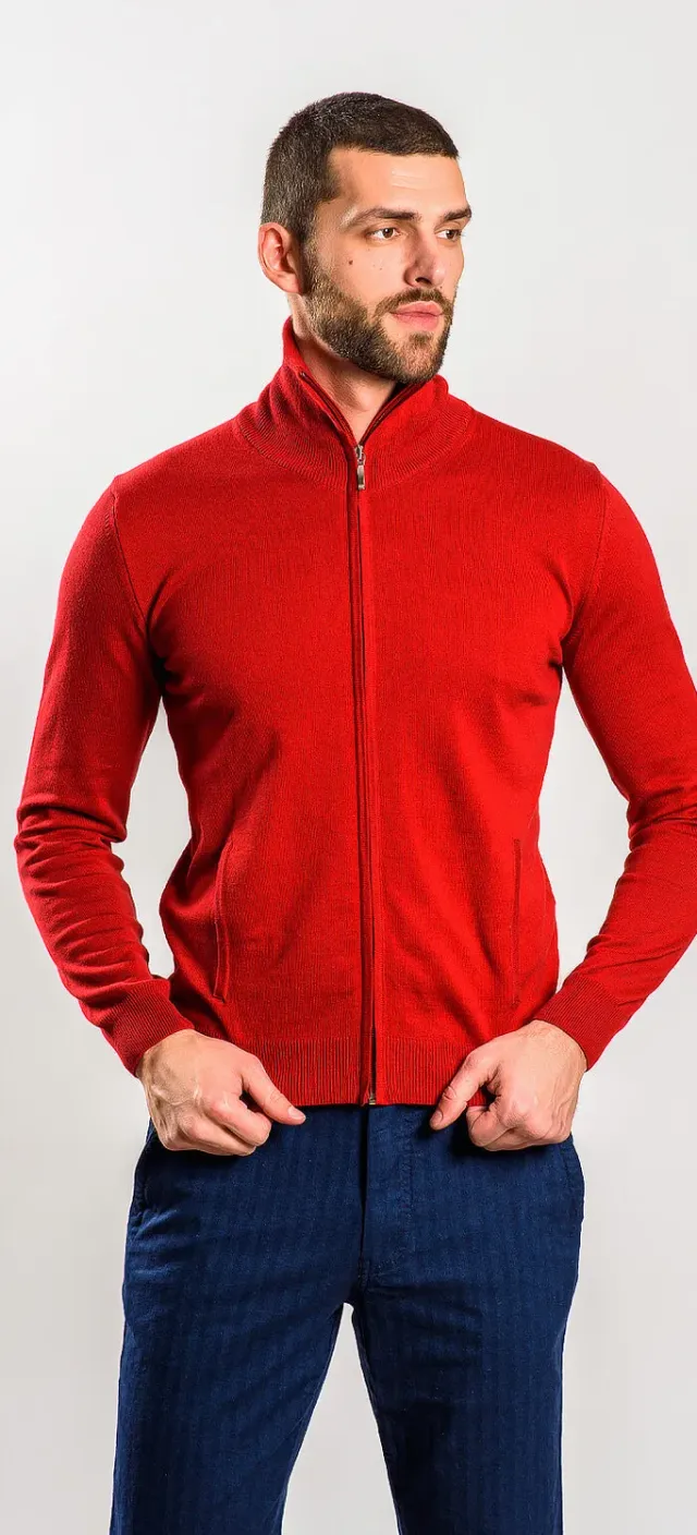 Alain Delon maglione bordeaux zip uomo S cotone