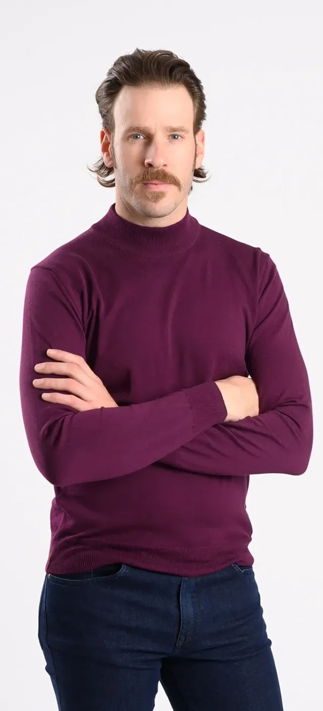 Alain Delon dolcevita cotone bordeaux collo basso