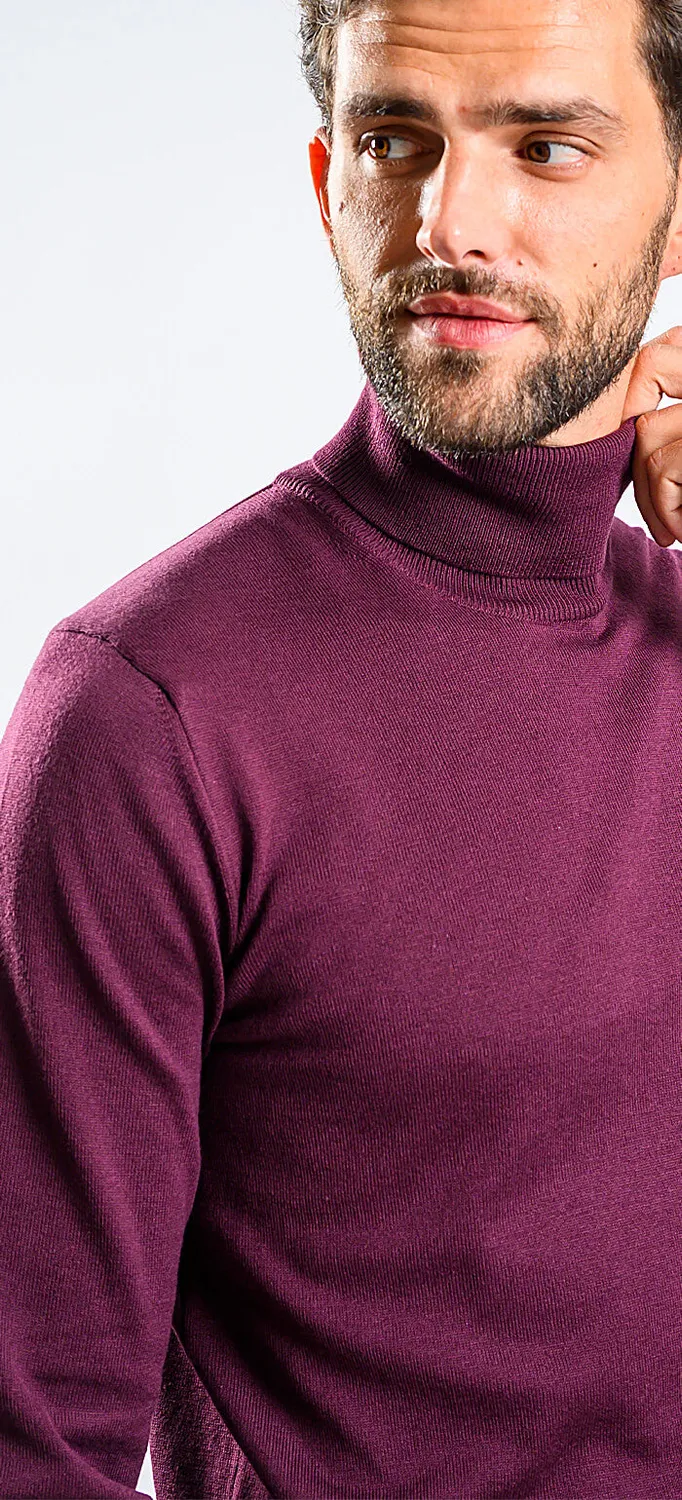 Alain Delon Eggplant dolcevita melanzana cotone