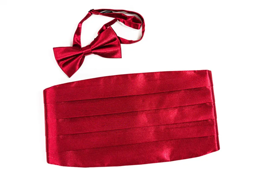 Alain Delon set fascia e papillon bordeaux cerimonia
