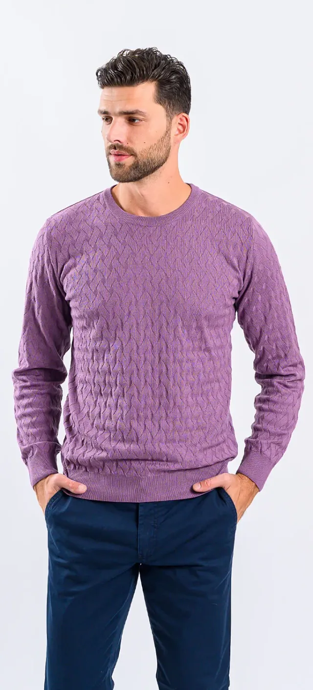 Alain Delon maglione viola in cotone slim fit