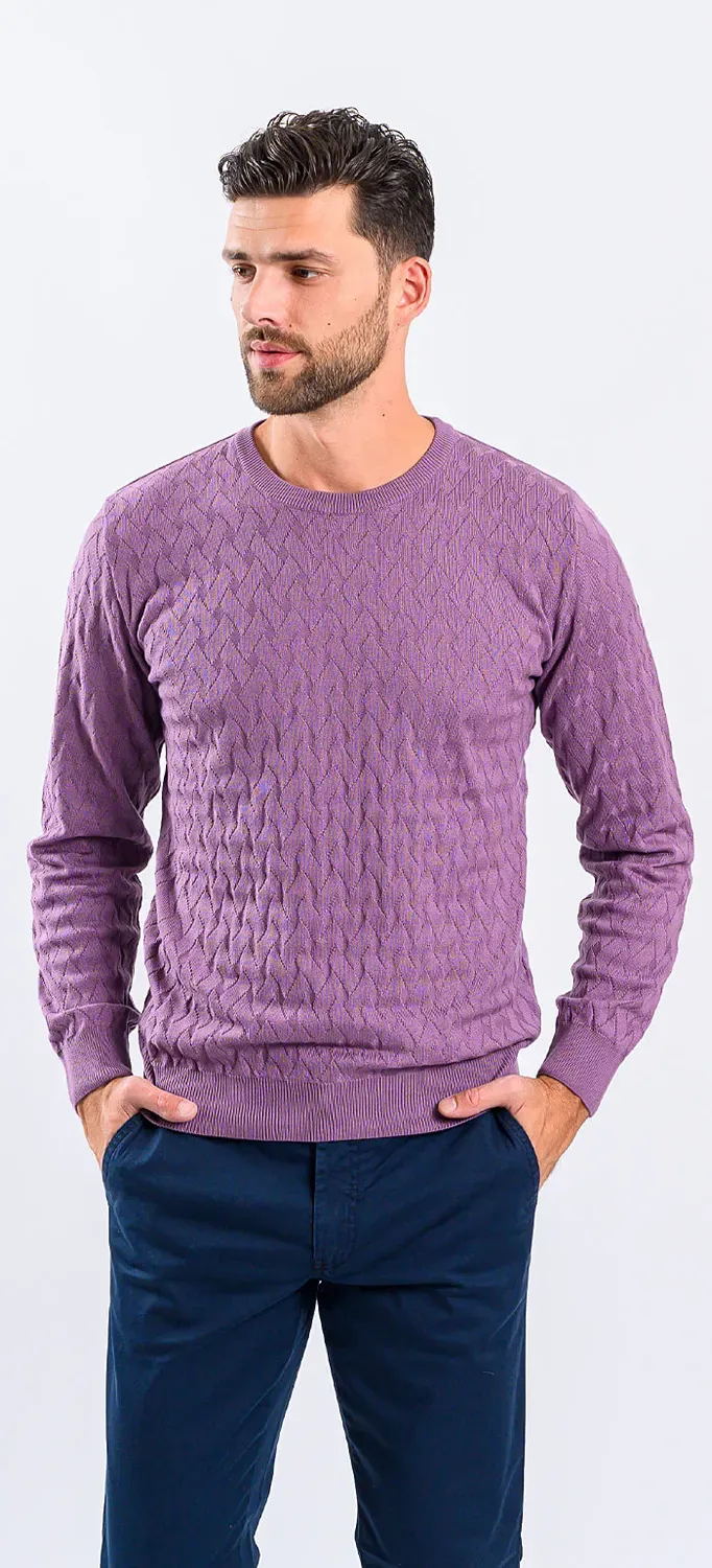 Alain Delon maglione viola in cotone slim fit