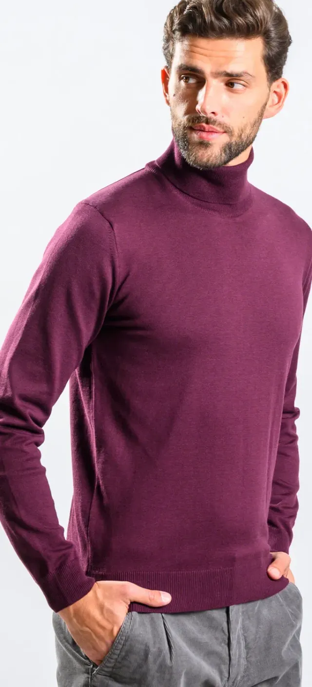 Alain Delon Eggplant dolcevita melanzana cotone