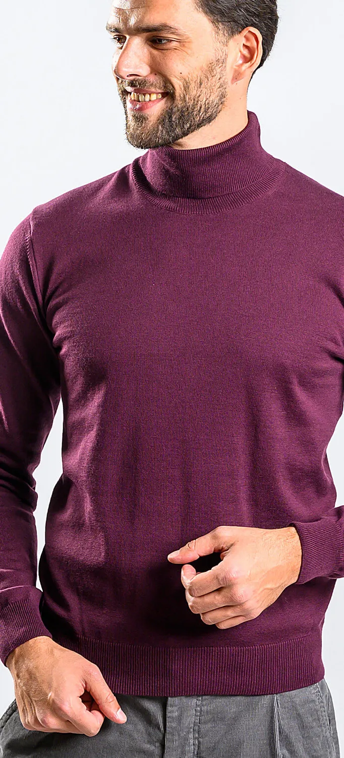 Alain Delon Eggplant dolcevita melanzana cotone