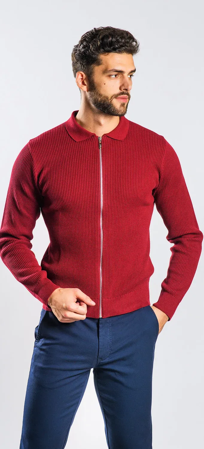 Alain Delon Bordeaux maglione zip slim fit fantasia