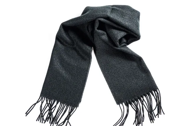 Alain Delon Leisure sciarpa invernale calda 26x180