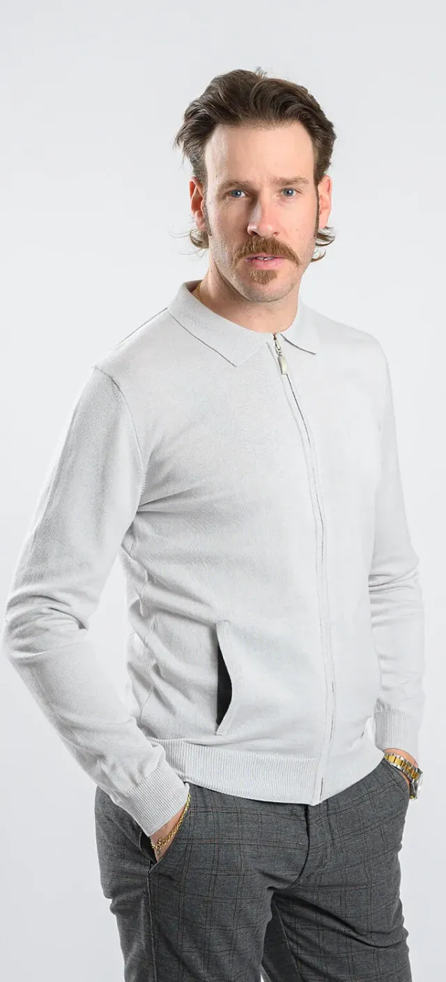 Alain Delon maglione grigio zip collo camicia slim