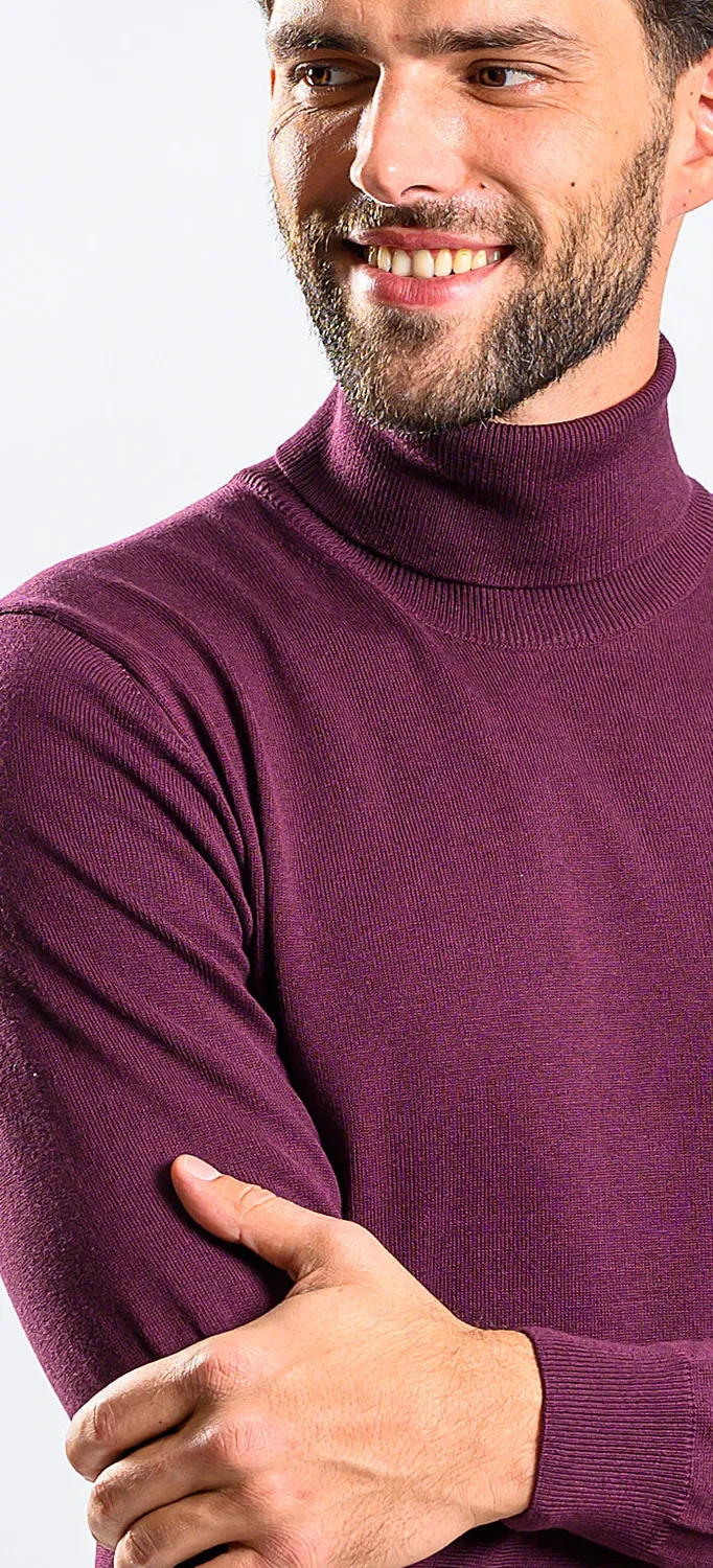 Alain Delon Eggplant dolcevita melanzana cotone