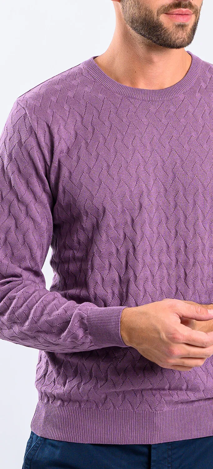 Alain Delon maglione viola in cotone slim fit