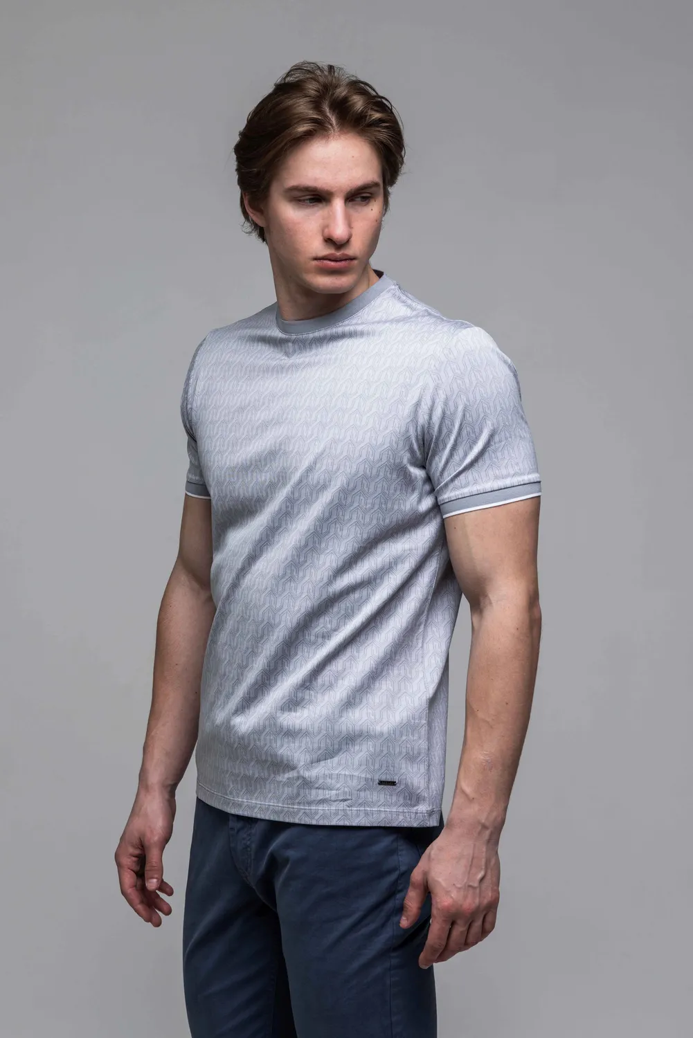 Alain Delon T-shirt Grigia Cotone Tono su Tono