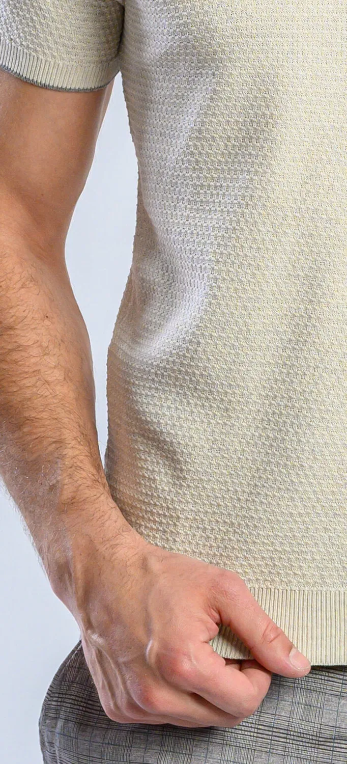 Alain Delon t-shirt beige maglia cotone slim fit