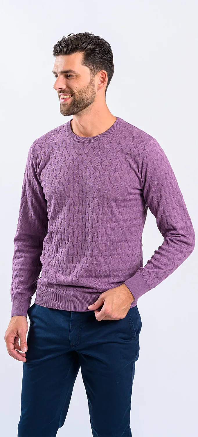 Alain Delon maglione viola in cotone slim fit